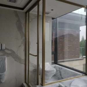 Shower Doors Customization